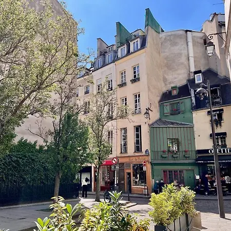 Apartment Rooftop Triplex With Garden At Notre Dame *